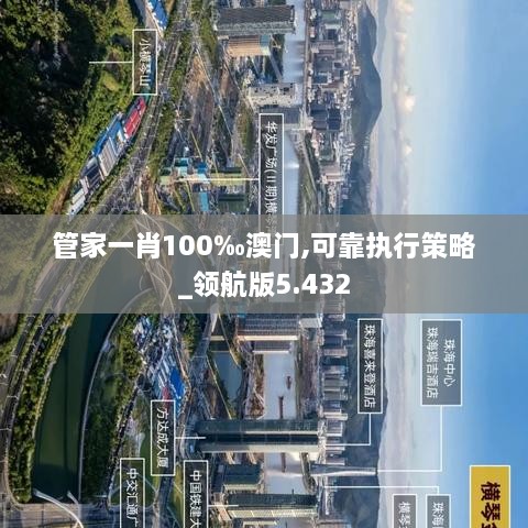 管家一肖100‰澳门,可靠执行策略_领航版5.432