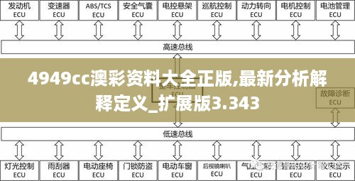 4949cc澳彩资料大全正版,最新分析解释定义_扩展版3.343