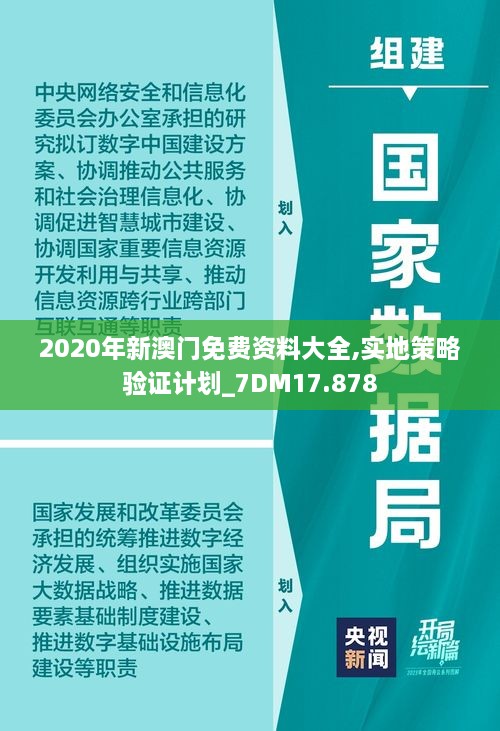 2020年新澳门免费资料大全,实地策略验证计划_7DM17.878