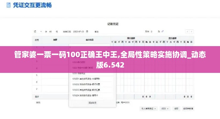 管家婆一票一码100正确王中王,全局性策略实施协调_动态版6.542