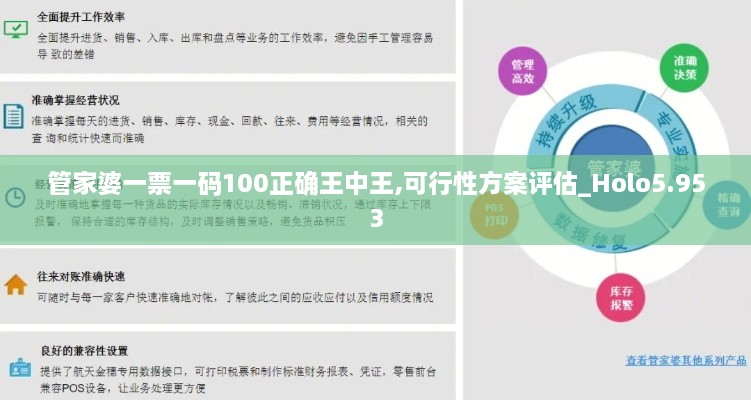 管家婆一票一码100正确王中王,可行性方案评估_Holo5.953