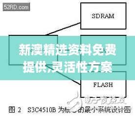 新澳精选资料免费提供,灵活性方案解析_BT3.451