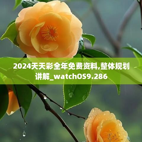 2024天天彩全年免费资料,整体规划讲解_watchOS9.286