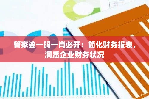 管家婆一码一肖必开：简化财务报表，洞悉企业财务状况