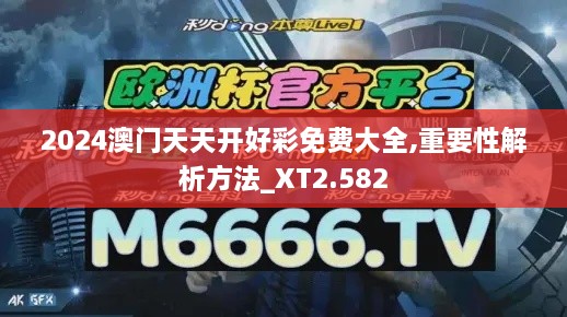 2024澳门天天开好彩免费大全,重要性解析方法_XT2.582