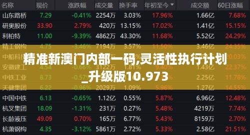 精准新澳门内部一码,灵活性执行计划_升级版10.973