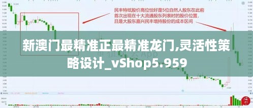 新澳门最精准正最精准龙门,灵活性策略设计_vShop5.959