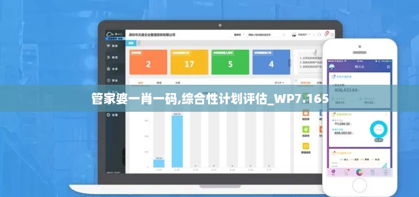 管家婆一肖一码,综合性计划评估_WP7.165