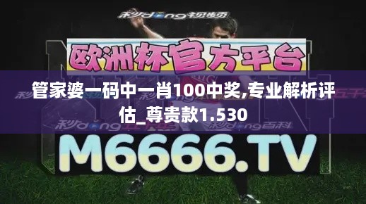 管家婆一码中一肖100中奖,专业解析评估_尊贵款1.530