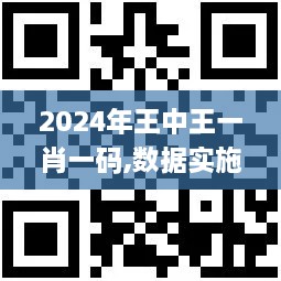 2024年王中王一肖一码,数据实施导向_W8.356