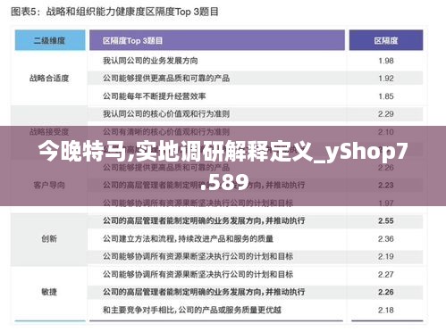 今晚特马,实地调研解释定义_yShop7.589