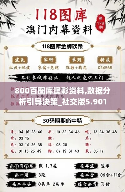 800百图库澳彩资料,数据分析引导决策_社交版5.901