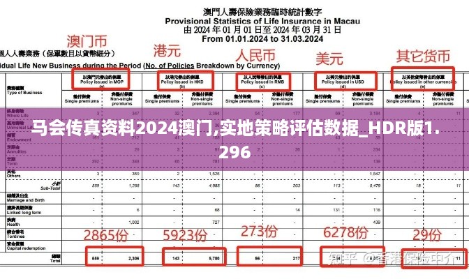 马会传真资料2024澳门,实地策略评估数据_HDR版1.296