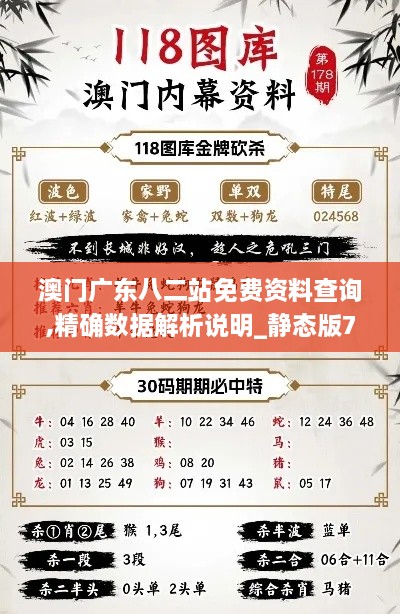 澳门广东八二站免费资料查询,精确数据解析说明_静态版7.821