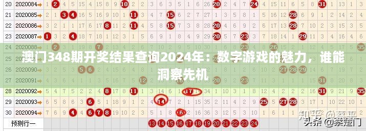 澳门348期开奖结果查询2024年：数字游戏的魅力，谁能洞察先机