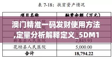 澳门精准一码发财使用方法,定量分析解释定义_5DM10.339