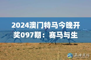 2024澳门特马今晚开奖097期：赛马与生活，一种激情的融合