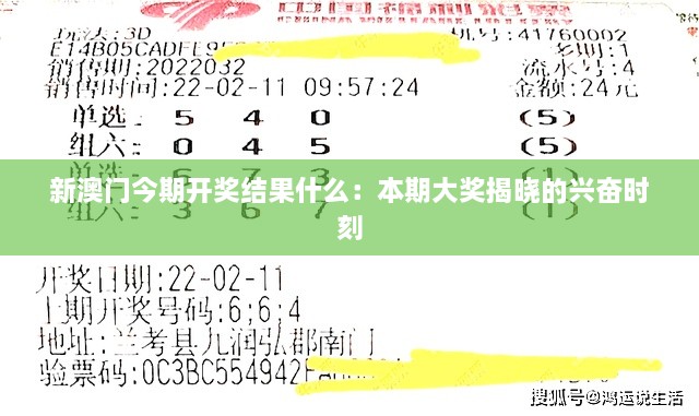 新澳门今期开奖结果什么：本期大奖揭晓的兴奋时刻