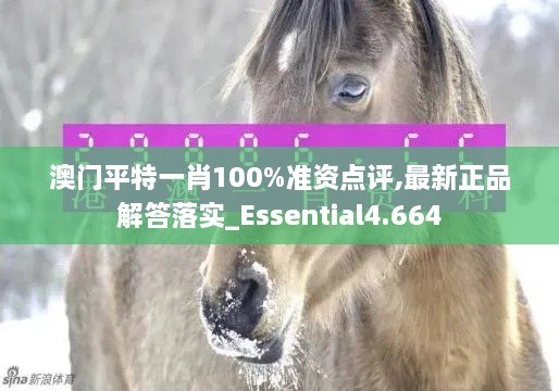 澳门平特一肖100%准资点评,最新正品解答落实_Essential4.664