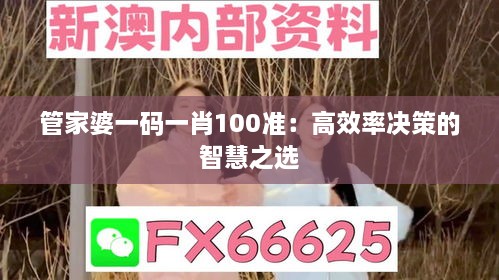 管家婆一码一肖100准：高效率决策的智慧之选