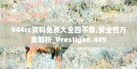 944cc资料免费大全四不像,安全性方案解析_Prestige6.449