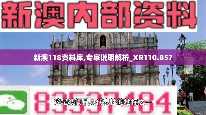 新澳118资料库,专家说明解析_XR110.857