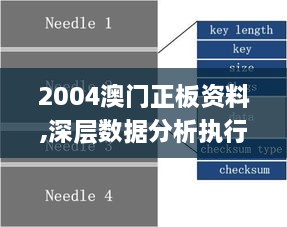 2004澳门正板资料,深层数据分析执行_Plus9.611