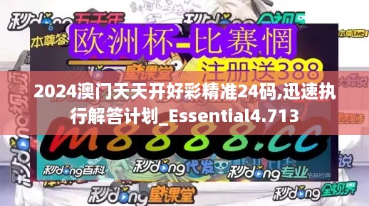 2024澳门天天开好彩精准24码,迅速执行解答计划_Essential4.713