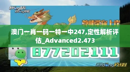 澳门一肖一码一特一中247,定性解析评估_Advanced2.473