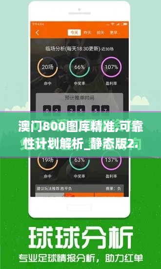 澳门800图库精准,可靠性计划解析_静态版2.517