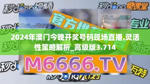 2024年澳门今晚开奖号码现场直播,灵活性策略解析_高级版3.714