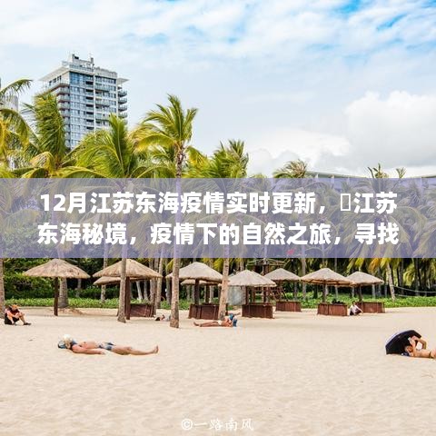 江苏东海疫情下的自然秘境探索，寻找内心的宁静与平和实时更新