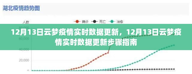 12月13日云梦疫情实时数据更新及步骤指南