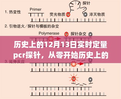 实时定量PCR探针制备详解，历史上的12月13日回顾与指南