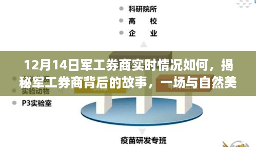 揭秘军工券商背后的故事，实时动态与自然美景下的邂逅之旅（12月14日）