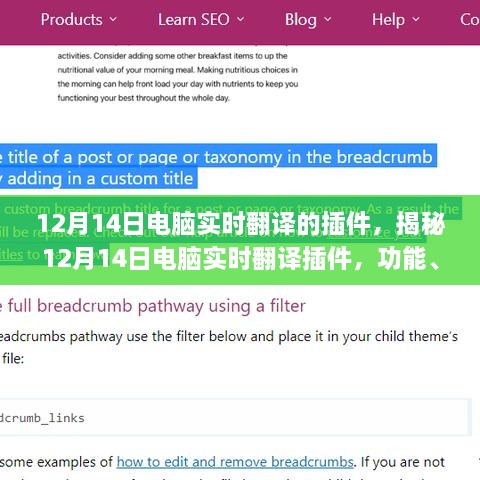 揭秘，12月14日电脑实时翻译插件的功能、优势与应用场景探讨