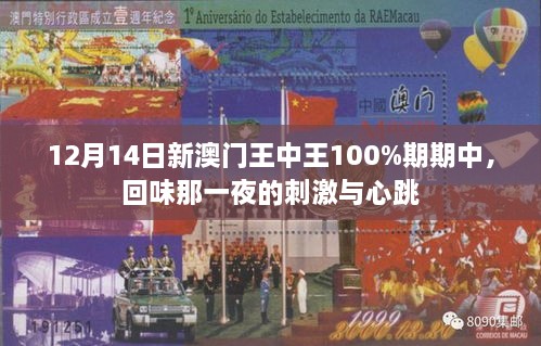 12月14日新澳门王中王100%期期中，回味那一夜的刺激与心跳