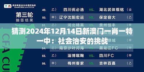 猜测2024年12月14日新澳门一肖一特一中：社会治安的挑战