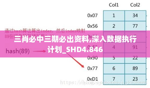 三肖必中三期必出资料,深入数据执行计划_SHD4.846