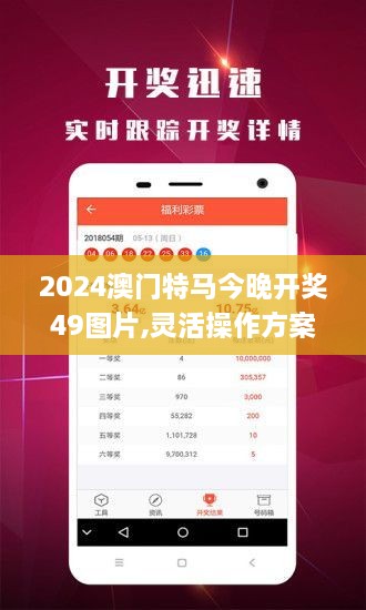 2024澳门特马今晚开奖49图片,灵活操作方案设计_suite2.887