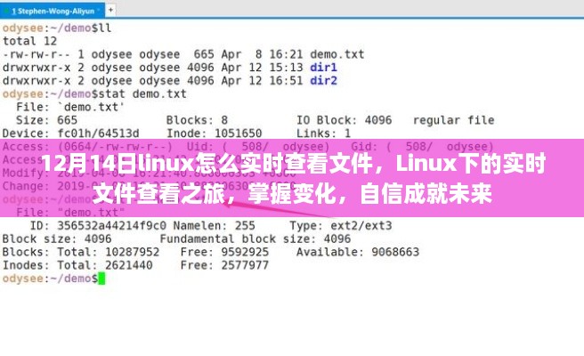 Linux实时文件查看之旅，掌握变化，自信成就未来