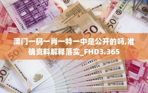 澳门一码一肖一特一中是公开的吗,准确资料解释落实_FHD3.365