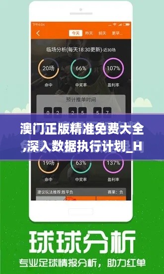 澳门正版精准免费大全,深入数据执行计划_Holo2.427