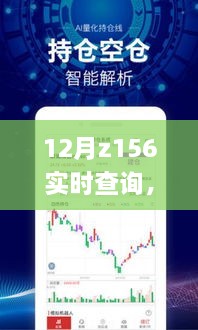 揭秘十二月Z156实时查询，功能、优势与应用前景探索