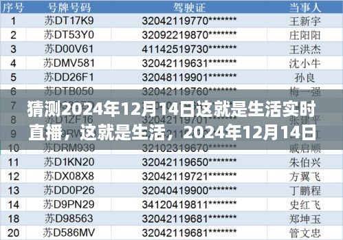 深度评测，这就是生活实时直播体验，2024年12月14日独家直播