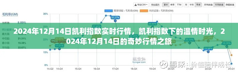 凯利指数下的温情时光，揭秘2024年12月14日行情之旅