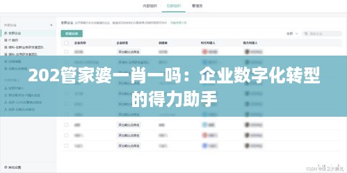 202管家婆一肖一吗：企业数字化转型的得力助手