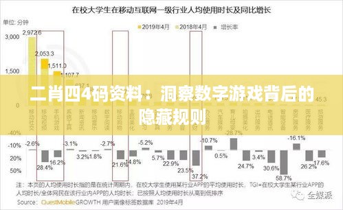 二肖四4码资料：洞察数字游戏背后的隐藏规则