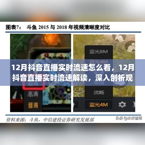 深度解读，12月抖音直播实时流速分析与数据剖析