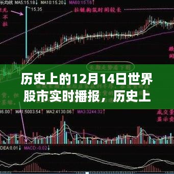 历史上的12月14日世界股市实时播报深度解析与全面评测报告